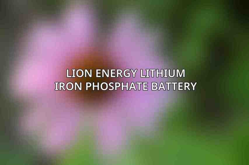 Lion Energy Lithium Iron Phosphate Battery