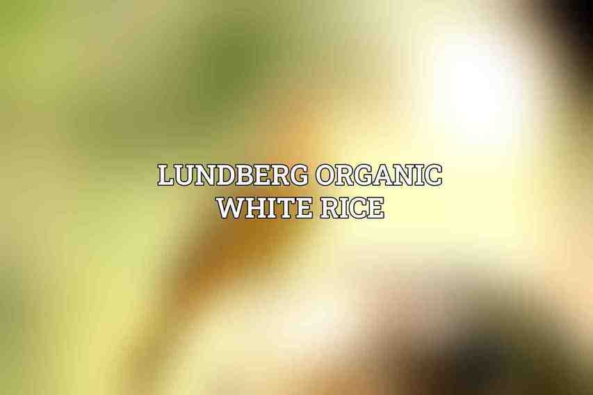 Lundberg Organic White Rice