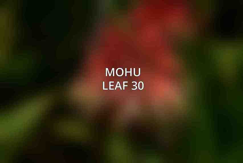 Mohu Leaf 30