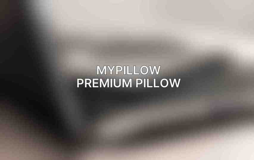 MyPillow Premium Pillow