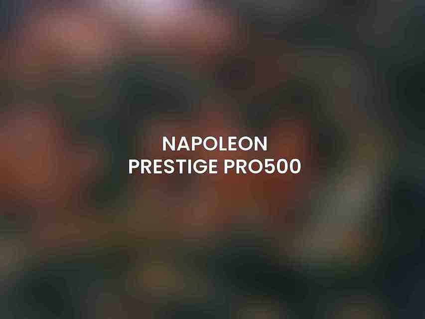 Napoleon Prestige PRO500