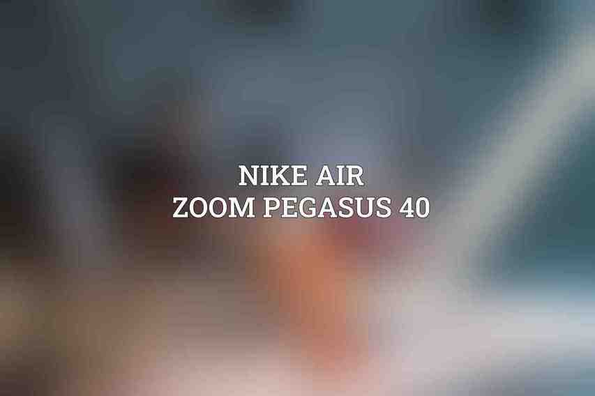 Nike Air Zoom Pegasus 40