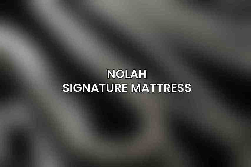 Nolah Signature Mattress