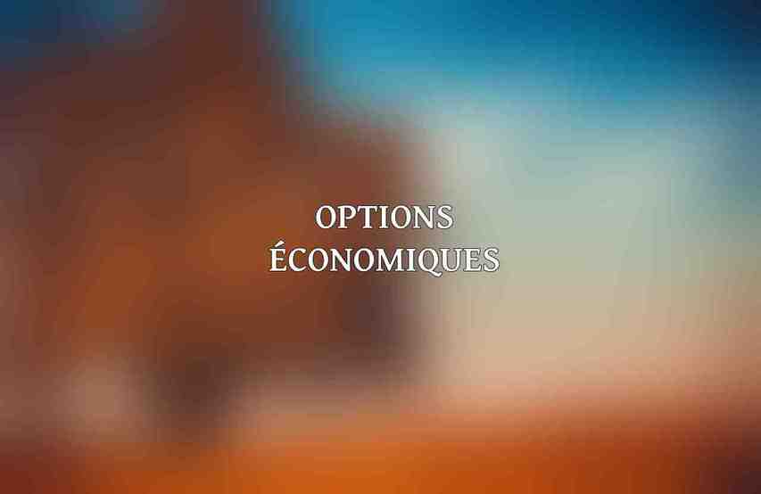 Options économiques