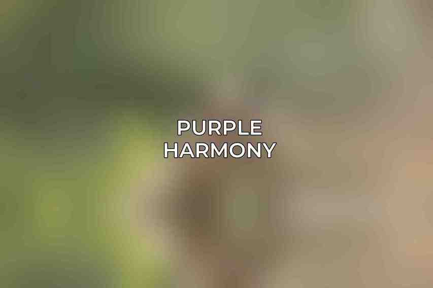 Purple Harmony