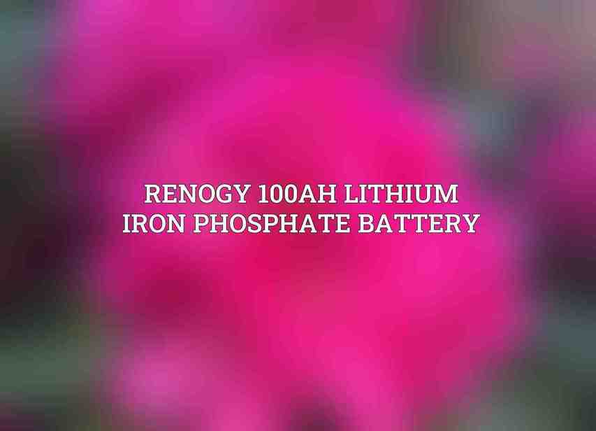 Renogy 100Ah Lithium Iron Phosphate Battery