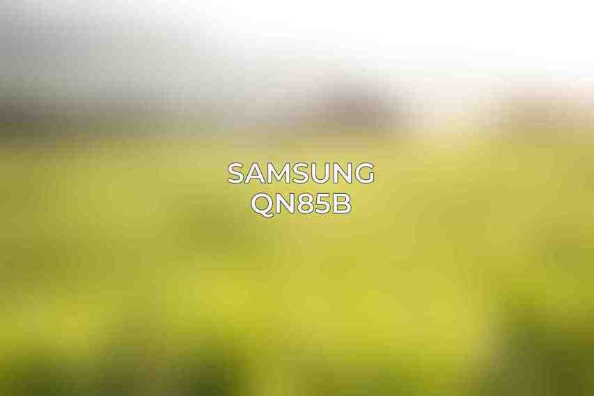 Samsung QN85B