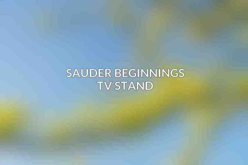 Sauder Beginnings TV Stand