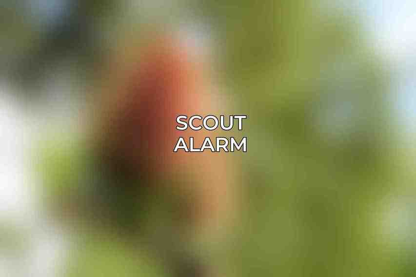 Scout Alarm