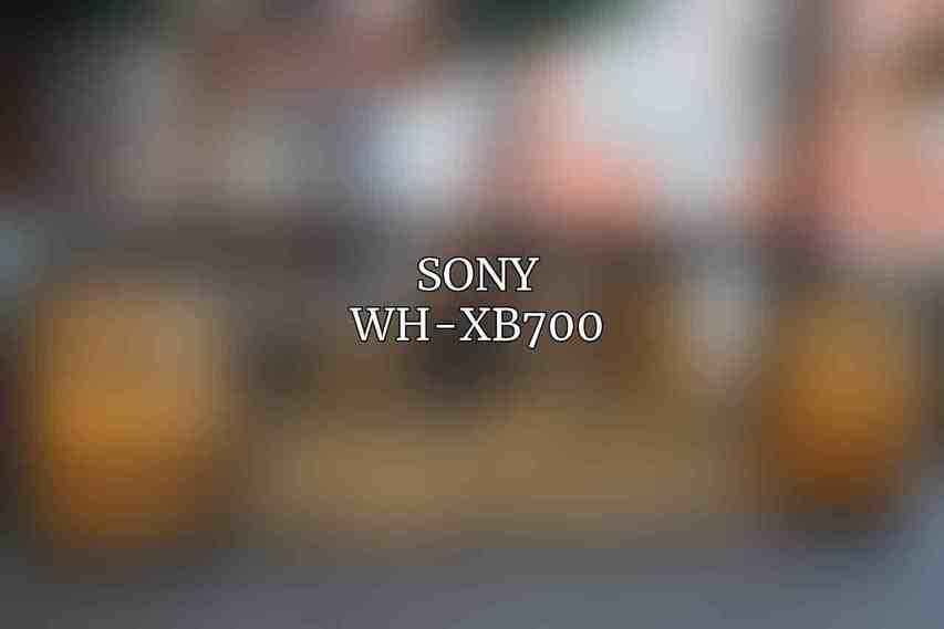 Sony WH-XB700