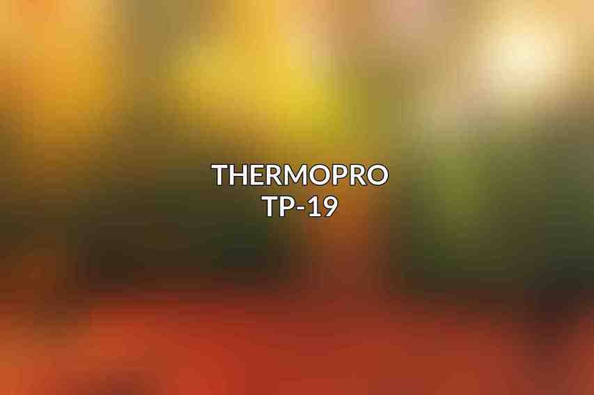 Thermopro TP-19
