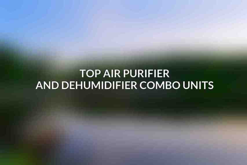 Top Air Purifier and Dehumidifier Combo Units