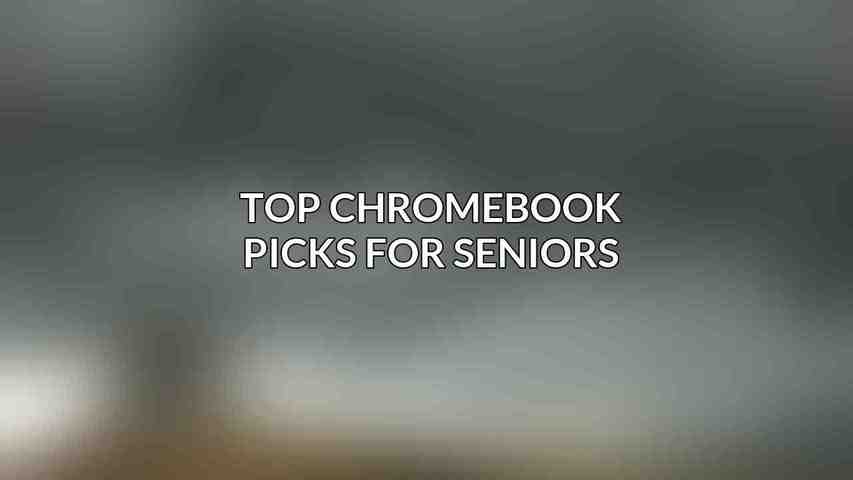 Top Chromebook Picks for Seniors