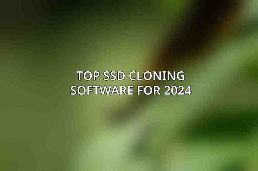 Top SSD Cloning Software for 2024