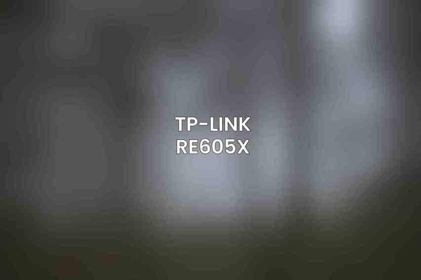 TP-Link RE605X