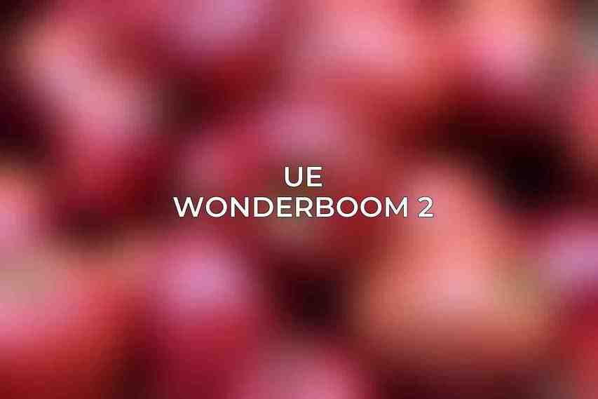 UE Wonderboom 2