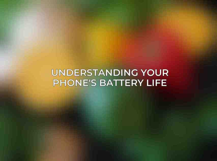 Understanding Your Phone's Battery Life