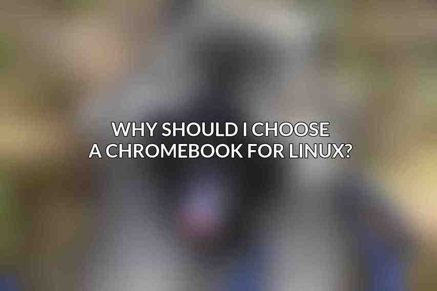 Why should I choose a Chromebook for Linux?