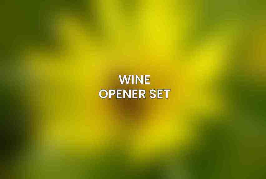 Wine Opener Set
