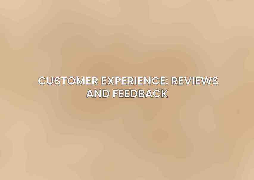 Customer Experience: Reviews and Feedback 