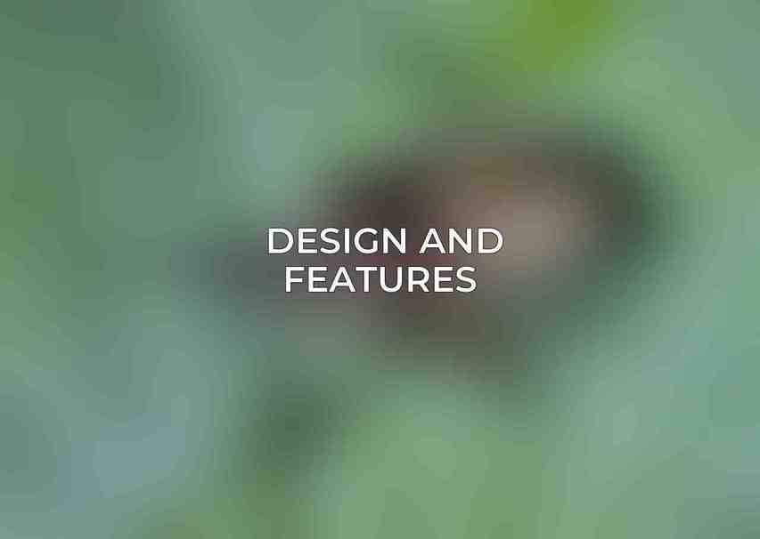 Design and Features 