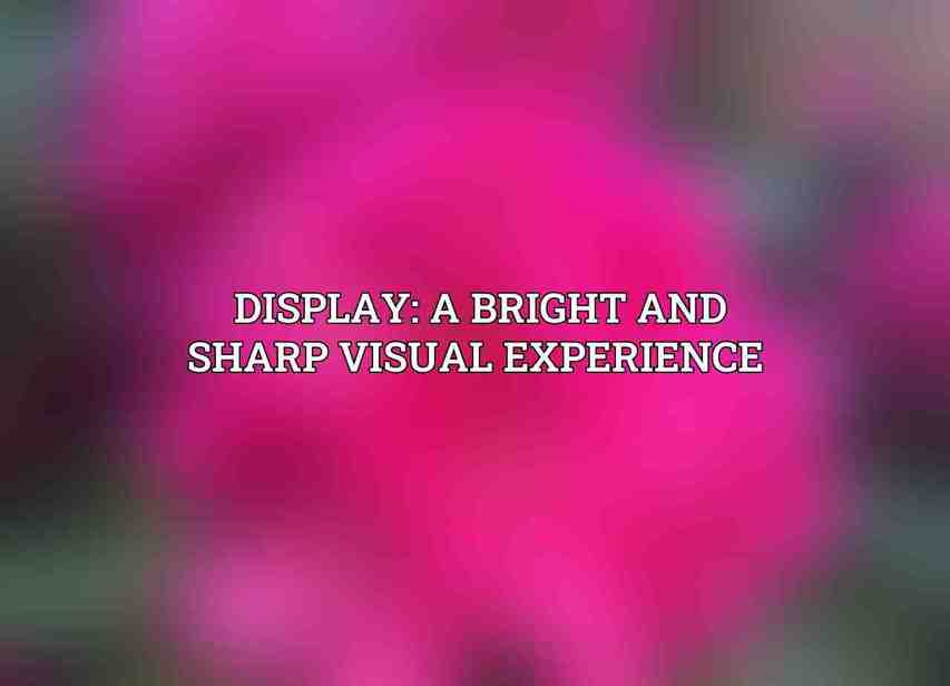 Display: A Bright and Sharp Visual Experience 