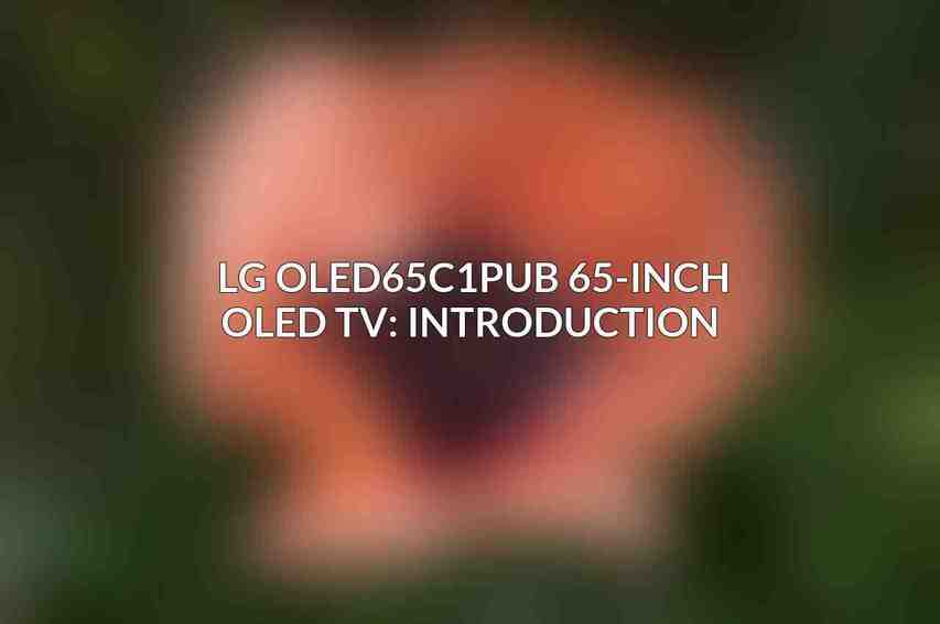 LG OLED65C1PUB 65-Inch OLED TV: Introduction 