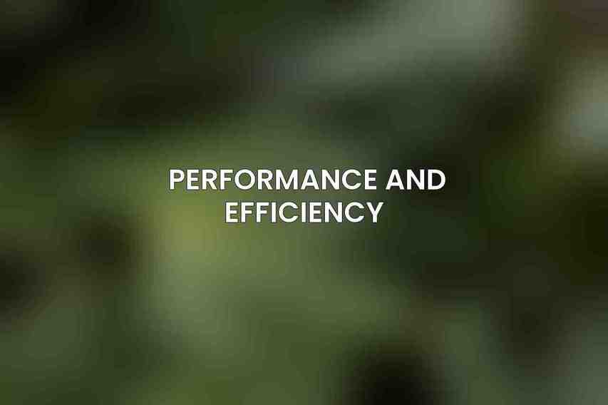Performance and Efficiency 