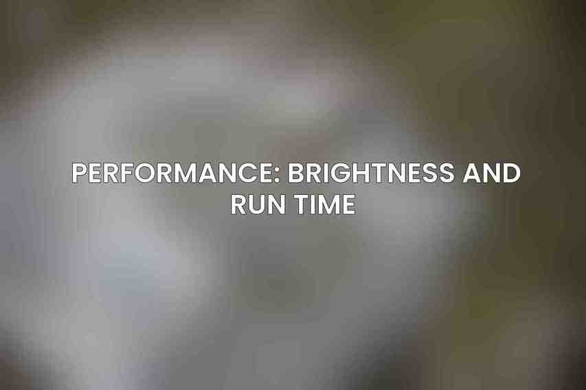 Performance: Brightness and Run Time 