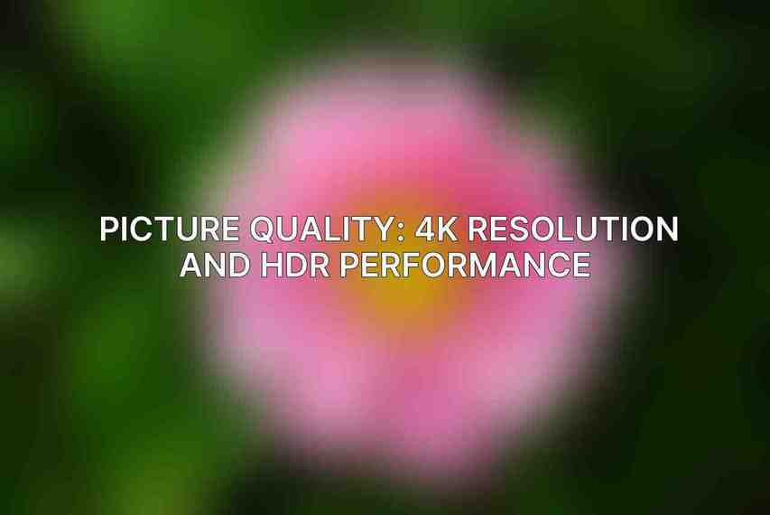 Picture Quality: 4K Resolution and HDR Performance 